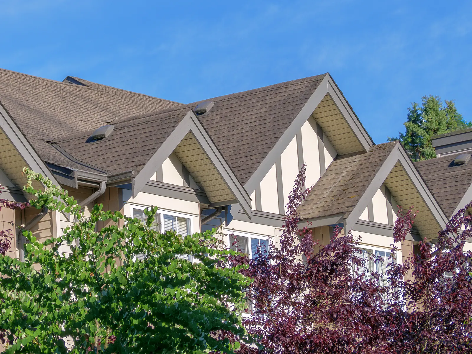 Shingle roofs on gabled homes by Promaster Maintenance Corp, Long Island, NY