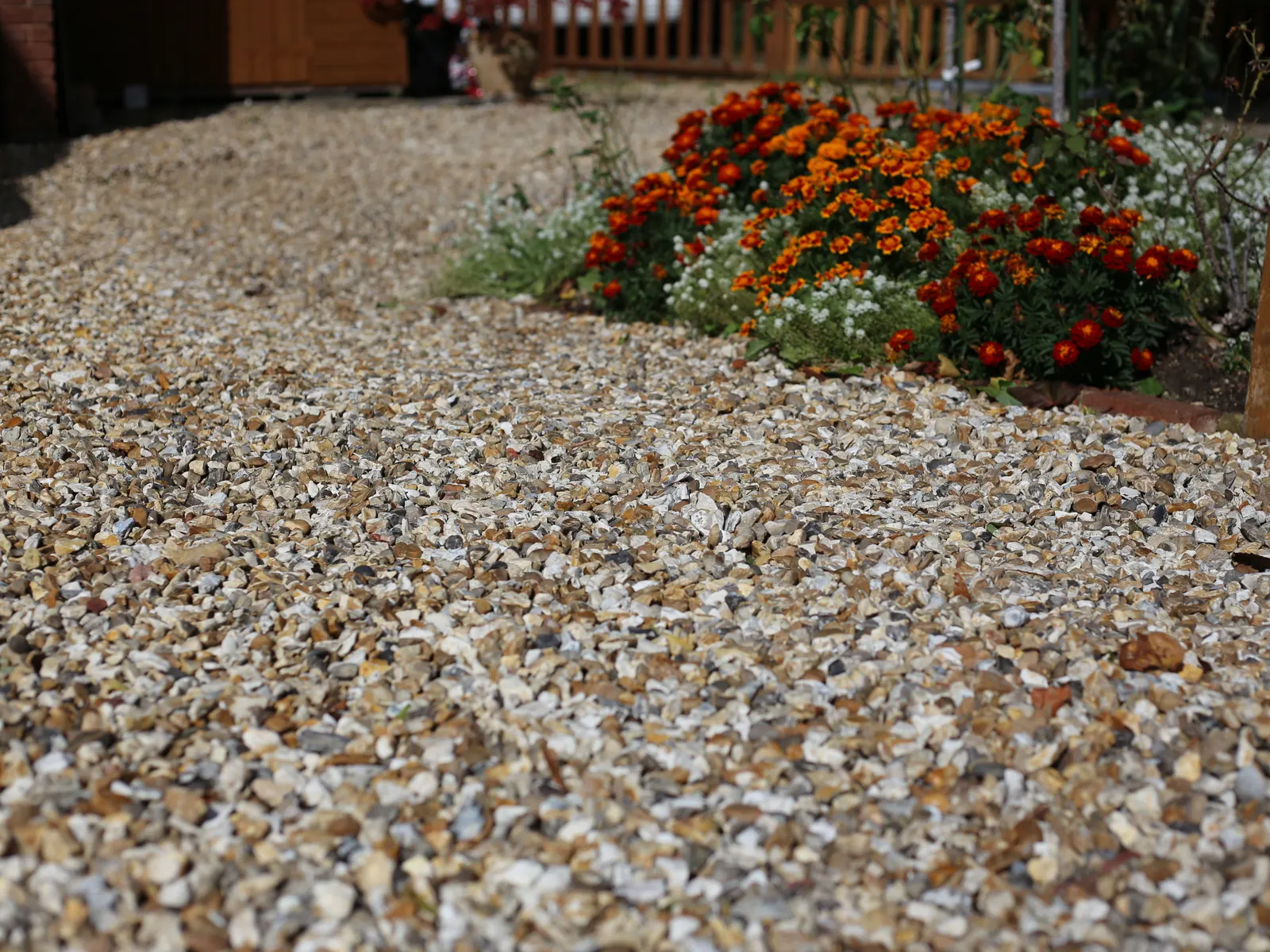 Gravel bed edged with flowers