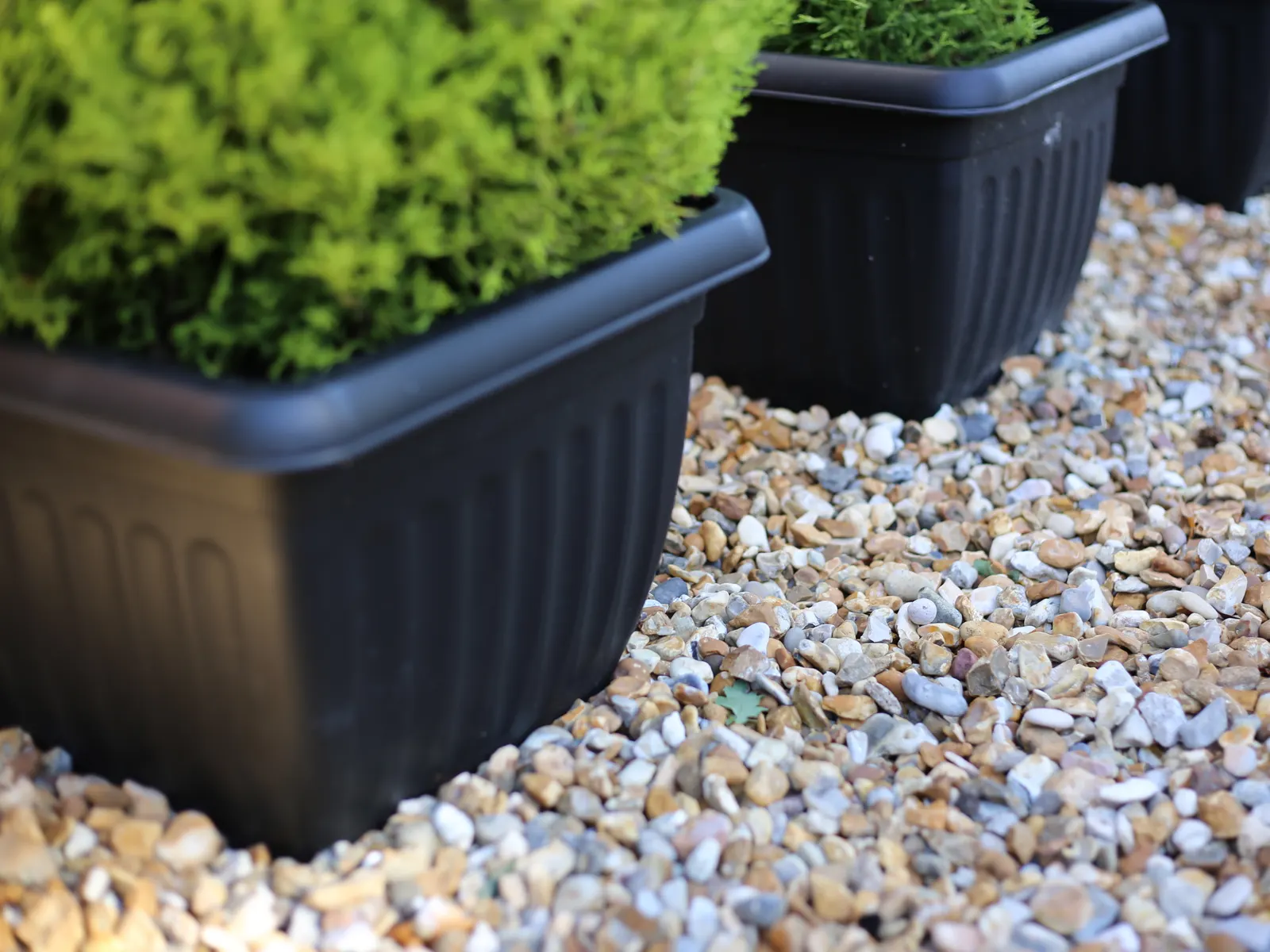 Mixed pea gravel around planters